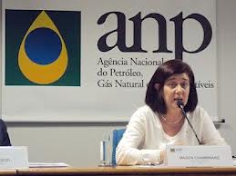 SEMINÁRIO TÉCNICO-AMBIENTAL SOBRE A 12ª RODADA SERÁ REALIZADO AMANHÃ