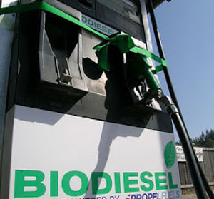 biodiesel