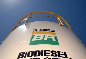 Biodiesel